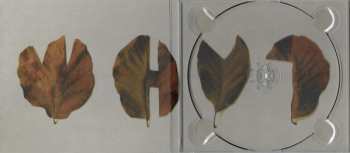 CD Why?: The Well I Fell Into