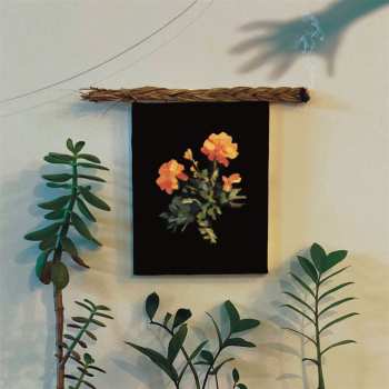 CD Why?: The Well I Fell Into