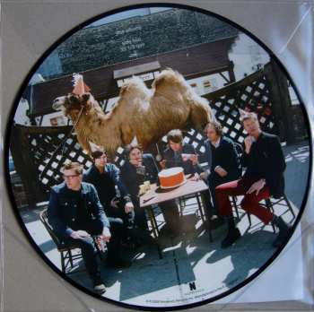 LP Wilco: Wilco (The Album) PIC