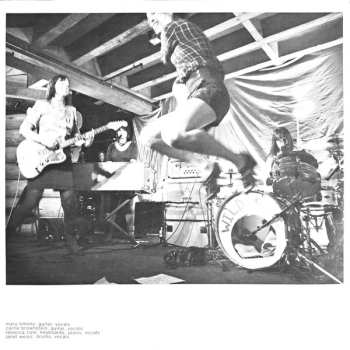 LP Wild Flag: Wild Flag