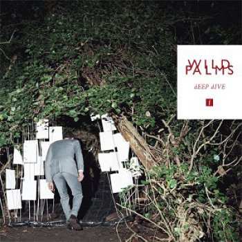 Album Wild Palms: Deep Dive