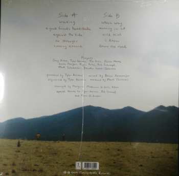 LP Will Fox: Which Way