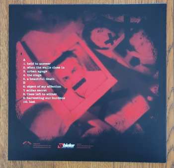 LP Will Haven: Voir Dire CLR | DLX | LTD