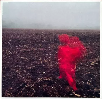 The Hole Around My Head