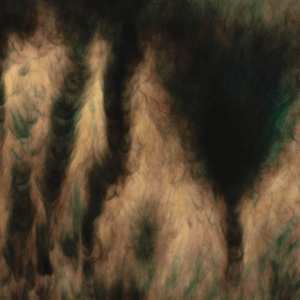 2LP William Basinski: Lamentations LTD | CLR