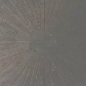 William Basinski: Selva Oscura