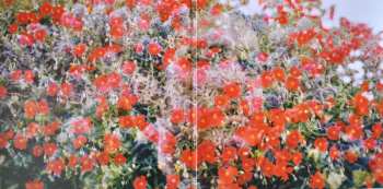 LP William Doyle: Your Wilderness Revisited