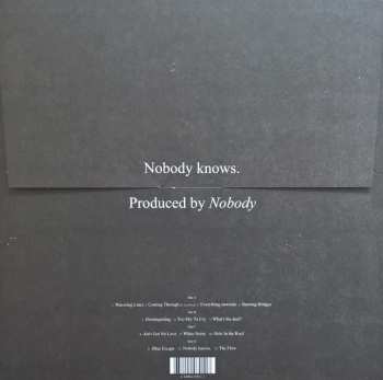 2LP Willis Earl Beal: Nobody Knows