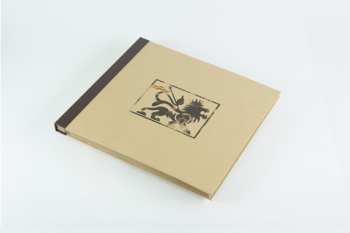 4LP/Coffret Wingless Angels: Wingless Angels (Volumes I & II) DLX | LTD | CLR