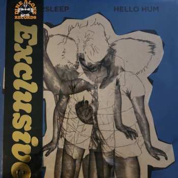 2LP Wintersleep: Hello Hum CLR | LTD