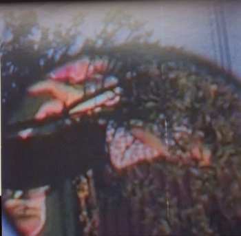 LP Wives: So Removed LTD