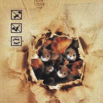 CD Wohnout: Karton Veverek