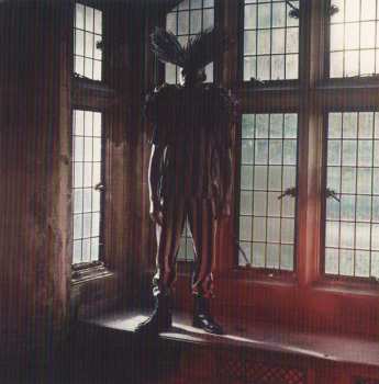 CD Wolf Gang: Suego Faults