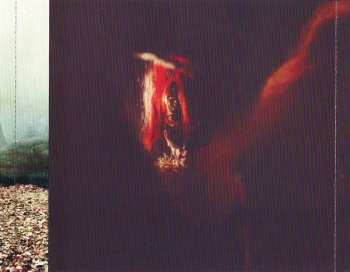 CD Wolf Gang: Suego Faults