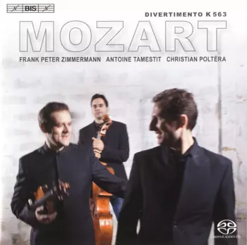 Divertimento K 563