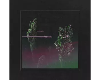 Wolfmother: Rock'n'Roll Baby