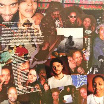 LP Wu-Lu: Loggerhead CLR | LTD