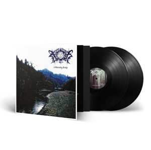 2LP Nocturnal Poisoning: A Misleading Reality