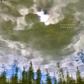 Album Yasmin Williams: Urban Driftwood