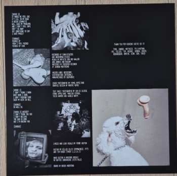 LP Yesnomaybe: Yesnomaybe Sucks