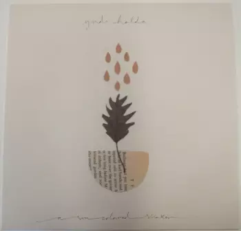 A Sun-Coloured Shaker