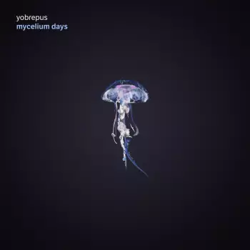Mycelium Days