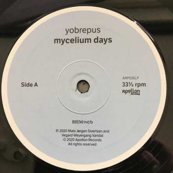 LP Yobrepus: Mycelium Days