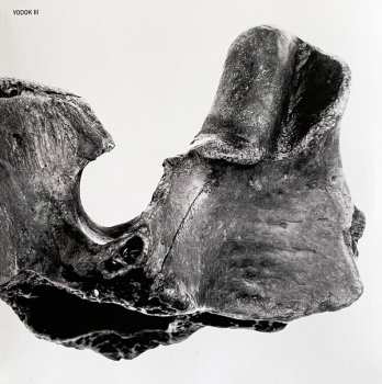 3CD/Coffret Yodok III: YODOK III LTD | DLX