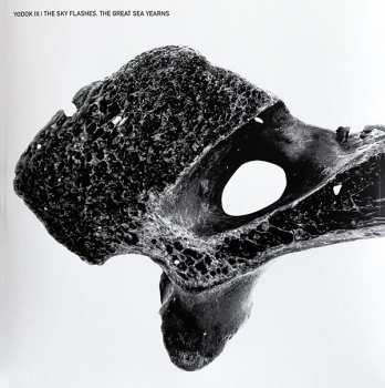 3CD/Coffret Yodok III: YODOK III LTD | DLX