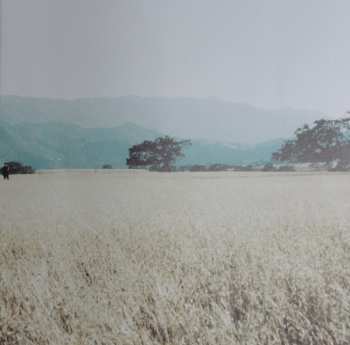 LP You+Me: Rose Ave. LTD