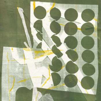 Album Zander Raymond: To Have Several Lives