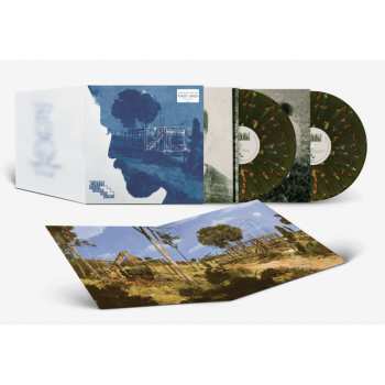 2LP ZAYN: Room Under the Stairs