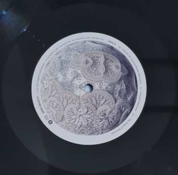 2LP Zero Gr4vity: Une Très Légère Oscillation