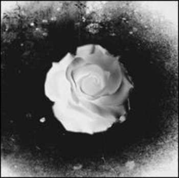 LP Zev: Queen Of Hearts EP