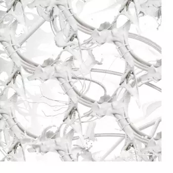 Ziúr: U Feel Anything?