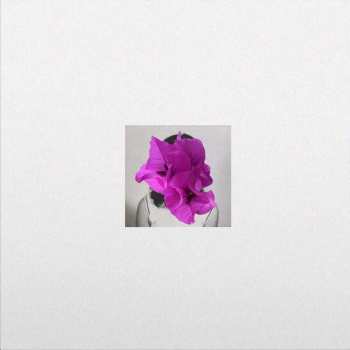 Album Zuaraz: Bugambilia