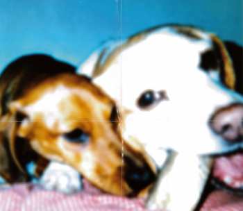 CD zZz: Sound Of zZz